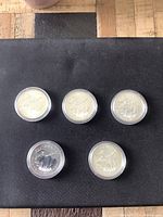 Reverse view showing moose design on all five coins in capsules