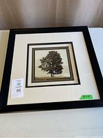 Full view of framed photographic art print measuring 23 x 23 inches, showing overall condition and frame style.