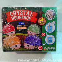 Front of box showing four colorful crystal hedgehog growing kits in red, green, orange, and purple, with branding and age recommendation 8+.
