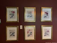 Six botanical rose prints in matching gold composite frames by Ikea hung on the wall.