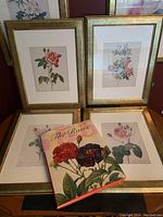Four framed botanical rose prints with gold composite frames arranged together with book titled 'The Roses' displayed on top