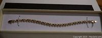 Full bracelet displayed in box, showing the overall style and length.