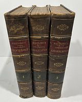 Spines of the 3 volumes showing leather binding with gold embossing and spine labels with volume numbers and title.