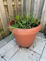 Full view of the plastic flower pot showing soil and green plants inside on patio floor against wooden fence.
