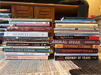 Two stacks of First Nations books on a carpeted floor next to a wooden cabinet, showing titles and condition of books.