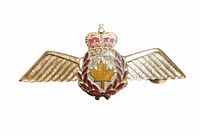 Close-up of large winged insignia badge with crown and maple leaf, showing enamel and gold-tone metal details.