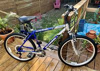 Full side profile of bicycle showing blue and silver frame, wheels, pedals, and overall condition