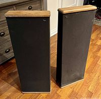 Front view of both speakers showing black grille covers and teak top panels on rectangular enclosures
