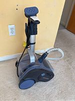 Shows entire Rowenta steamer unit including base, hose, and steam head.