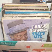 Photo of the collection of vinyl records viewed from the top showing Frank Sinatra's That's Life album prominently.