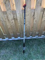 Full length view of the Asham curling broom showing the black and grey shaft with the red broom head at the top.