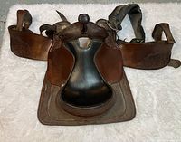 Front-facing view of saddle showing pommel, seat and skirts
