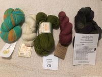 View of all five skeins in lot, showing color variations and labels