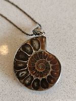 Close-up image showing the pendant's ammonite fossil with detailed spiral chambers and metal bezel.