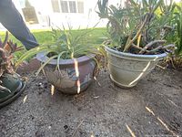View showing two stone planters outdoors, one floral themed and one smaller leaf embossed, each planted with succulents.