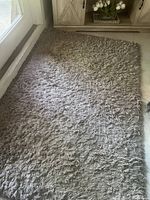 Photo of gray shaggy carpet rug on wooden floor near glass door and cabinet
