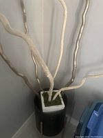 Photo of wooden branches arranged vertically in a black cylindrical container with a white square base holding moss.