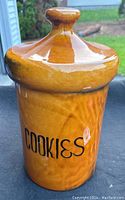 Photo showing the glossy orange brown glazed mushroom top cookie jar with 'COOKIES' printed in black on front.