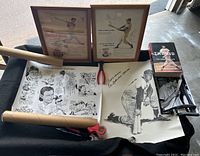 Full view of Ted Williams lot including framed Texaco ads, posters in tubes, hardcover book, and photo