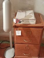 Photo showing oak file cabinet with two drawers and filing folders on top, OttLite floor lamp on the left side