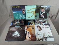 9 vinyl records displayed front side up showing album cover artwork including David Lee Roth, Rod Stewart, The Alan Parsons Project, Rick James, Flashdance, Elton John, Prism, Rick Springfield, and John Stewart.