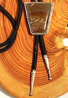 Close-up of bolo tie pendant showing Jasper picture stone and sterling silver frame on braided black cord with silver tips.