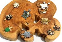 Group of 6 turtle coins, one pair of turtle earrings, and one turtle necklace displayed on wooden base