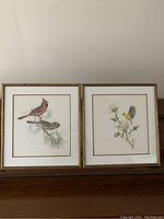 Two framed bird prints side by side on a surface, showing clear details of both images and frames.