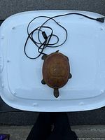 Top-down view showing the turtle lamp with attached power cord on a white plastic surface.