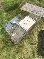 Large and small metal wire mesh live animal traps placed on the grass, showing the overall shape, door, and handle on top.