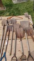 Overview of all shovels, spades, and bow saw laid on wooden surface outside on grass.