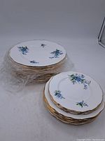 Two stacks of plates: one stack of larger dinner plates in plastic wrap and one smaller stack of side plates