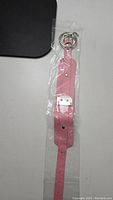 Photo shows the pink dog/cat collar sealed inside a clear plastic bag with a metal buckle and attached keyring at one end.