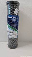 Front view of PurePlus CTO10 carbon block water filter showing label with specifications and branding.