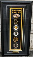 Front view of full framed banner showing entire logo timeline