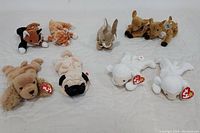 Overview photo showing nine Ty Beanie Babies including different animals such as dogs, cats, rabbits, lambs, deer all with Ty tags