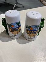 Pair of white ceramic South Beach salt and pepper shakers with colorful beach scene and green parrot handles on side.