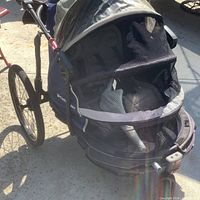 Front view of blue Schwinn bike trailer showing mesh canopy and large rear wheels.