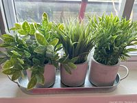 Three faux plants in white ceramic pots with green leaves, placed on a metal tray near a window.