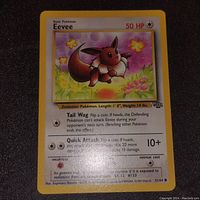 Photo of an original Eevee Pokemon card from the Jungle set showing front artwork and game details.
