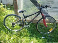Side view of black and red mountain bike showing frame, tires, pedals, chain, and rear gear cassette.