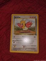 Front view of Spearow Pokemon card from Jungle Set showing artwork, attacks, HP and set details.
