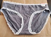 Front view of Jenni cotton hipster panties in pewter heather gray with white lace trim, size XXXL.