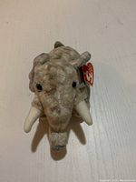 Close up front view of a gray Ty Beanie Baby elephant plush with red heart tag on ear, showing detailed facial features, ivory colored tusks, and plush fur texture.