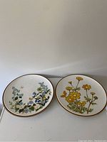 Photo of two Mikasa Petit Fleur plates with different floral patterns and brown rims, showing front designs.