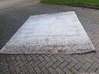 Full view of the rectangular shag area rug placed on outdoor pavement, showing the blend of light beige and brown colors.