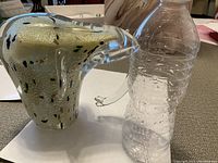 Photo of art glass elephant figurine shown next to a water bottle for size comparison, highlighting the clear and gold-tinted glass with colorful specks and elephant features.