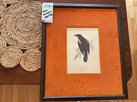 Framed print of Red Winged Starling with orange velvety matting and wooden frame on floor.