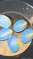 Close-up image of five oval cabochon cut crystal opals with blue-green flashes under natural light on a black background.