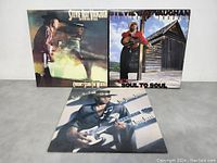 Three Stevie Ray Vaughan vinyl records with album covers arranged on a surface.